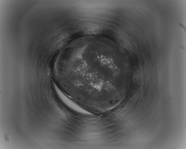 X0000098150647200804241740