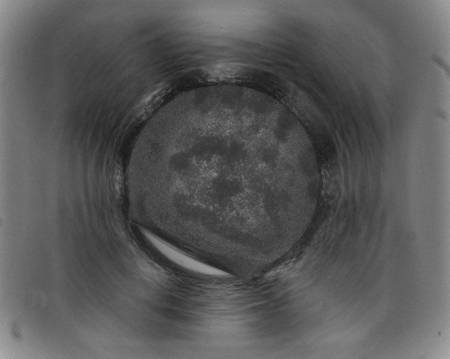 X0000098150648200804241740