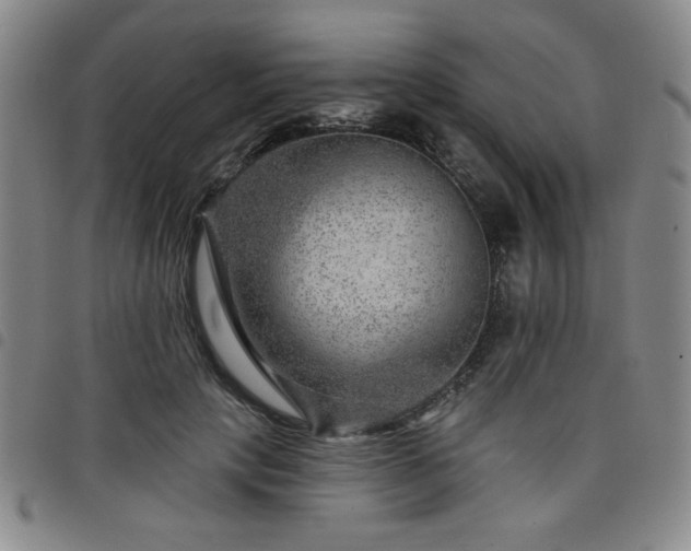 X0000098150649200804241740