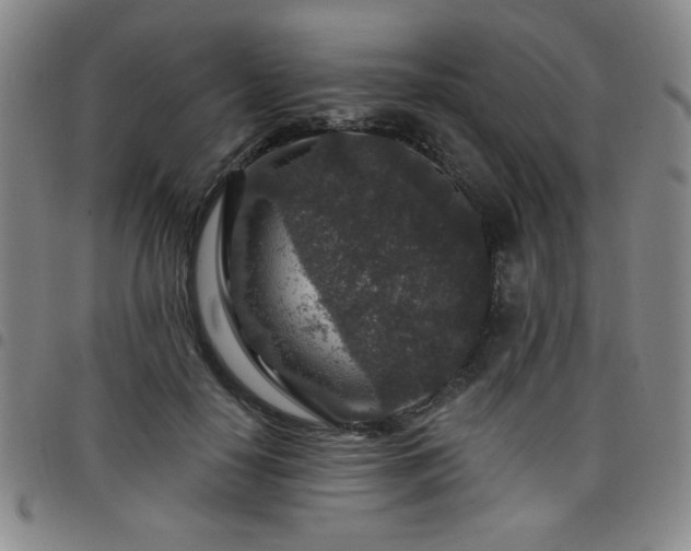 X0000098150650200804241740