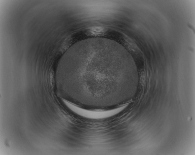 X0000098150651200804241740