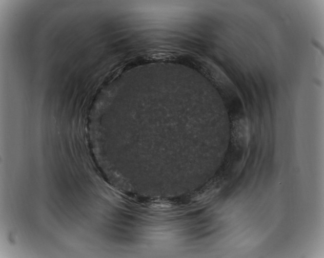 X0000098150653200804241740