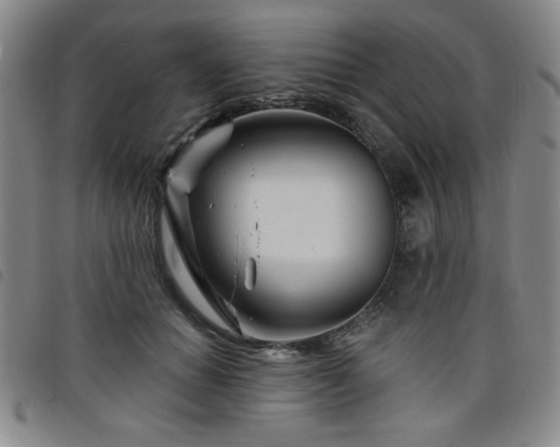X0000098150654200804241740