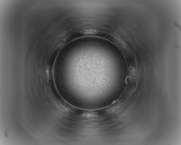 X0000098150655200804241741