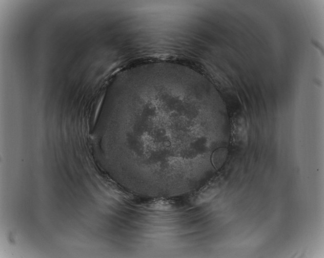 X0000098150656200804241741