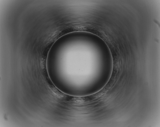 X0000098150658200804241741