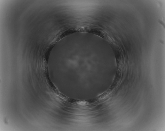 X0000098150659200804241741