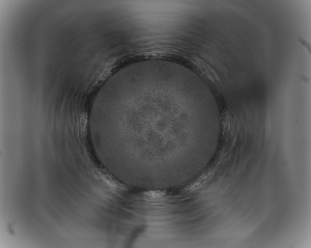 X0000098150660200804241741