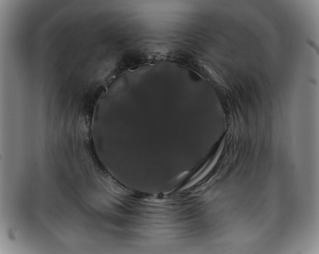 X0000098150661200804241741