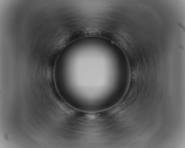 X0000098150662200804241741
