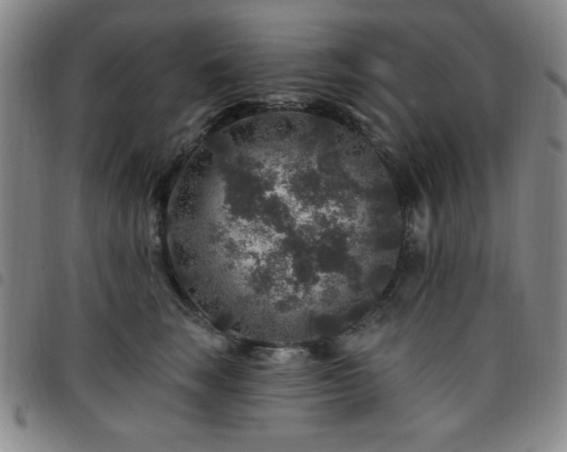 X0000098150663200804241741