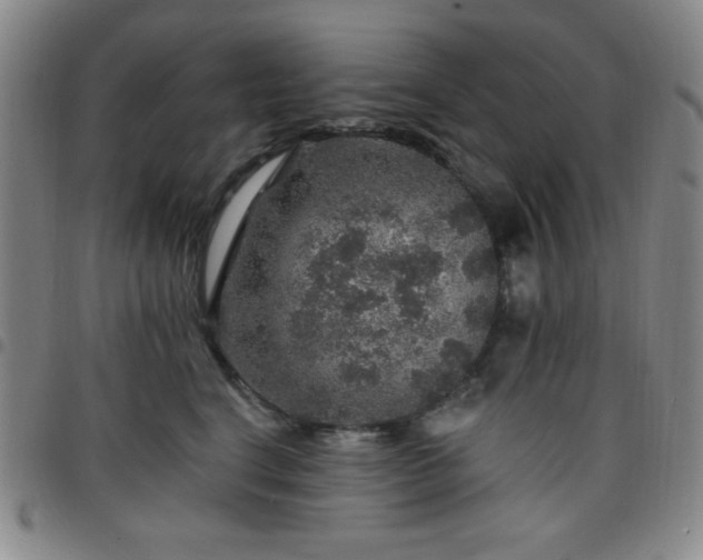X0000098150664200804241741