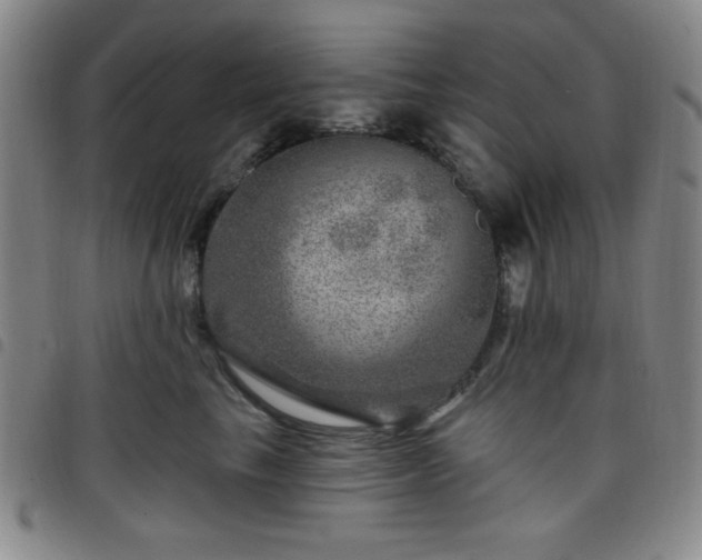X0000098150665200804241741