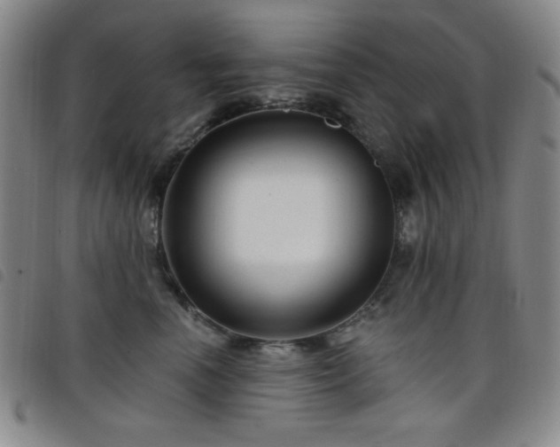 X0000098150666200804241741