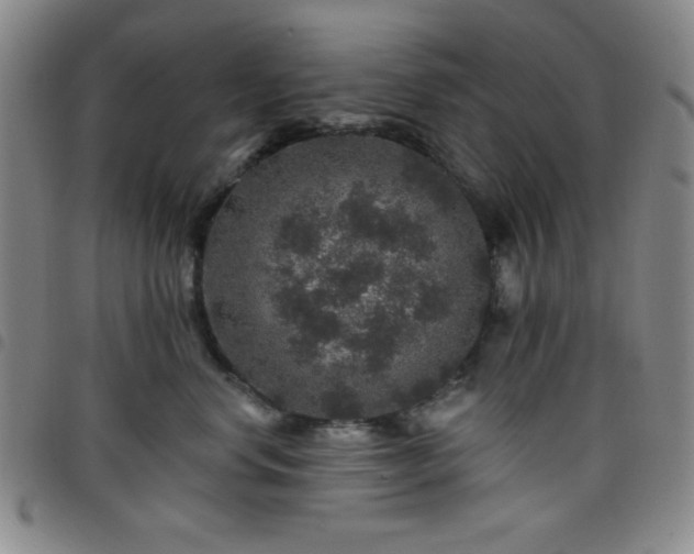 X0000098150668200804241741