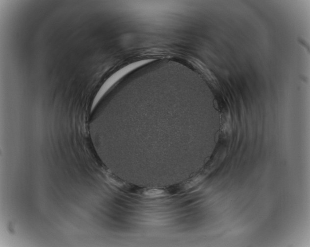 X0000098150669200804241741