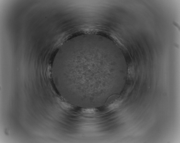 X0000098150671200804241741