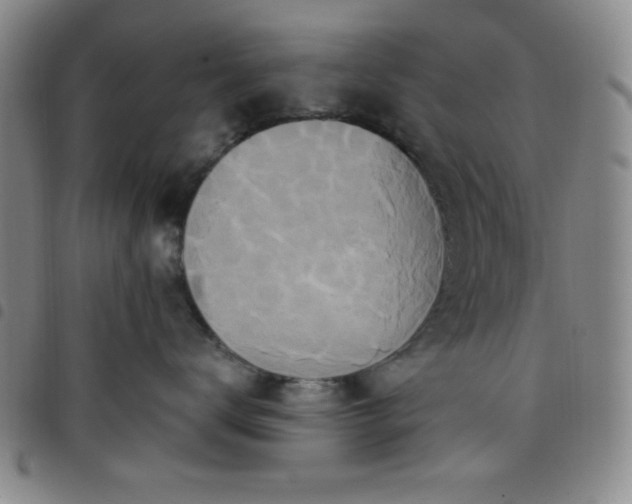 X0000098150672200804241741