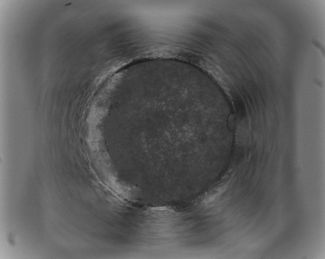 X0000098150673200804241740