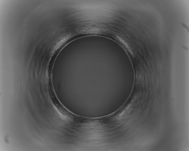 X0000098150674200804241740