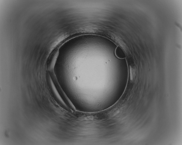 X0000098150675200804241740