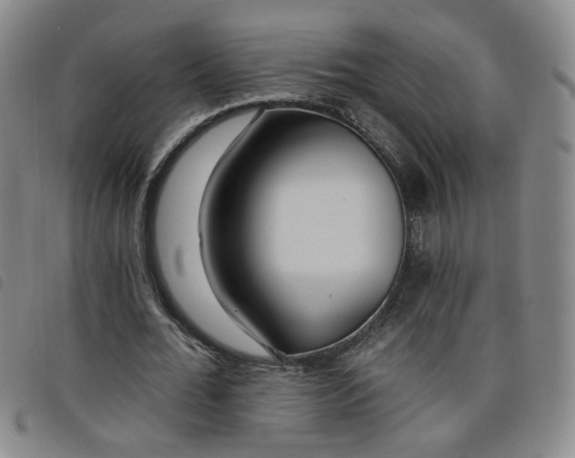 X0000098150676200804241740