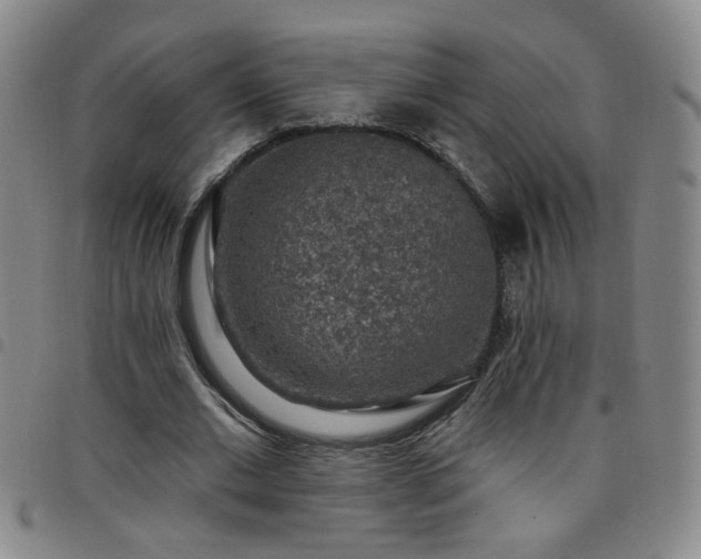 X0000098150677200804241740