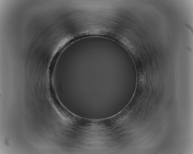 X0000098150678200804241740