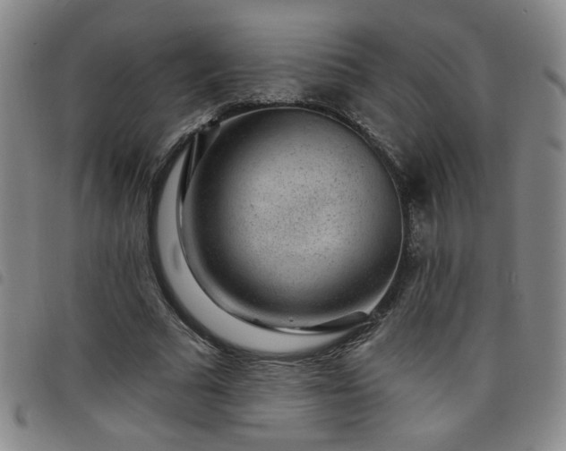 X0000098150681200804241740