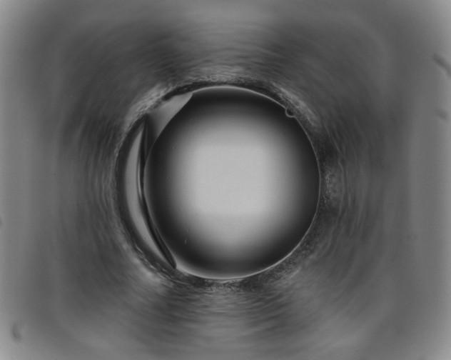 X0000098150682200804241740