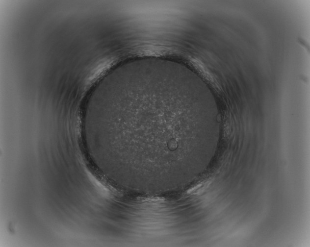 X0000098150683200804241740