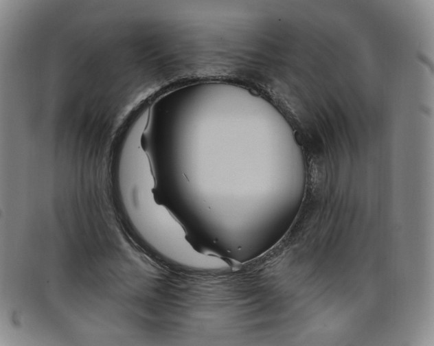 X0000098150684200804241740