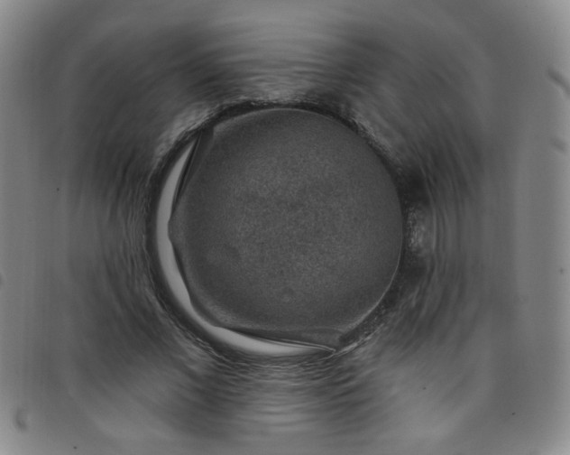 X0000098150685200804241740