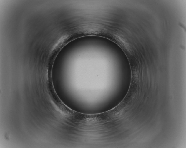 X0000098150686200804241740