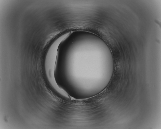 X0000098150688200804241740