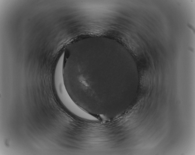 X0000098150689200804241740