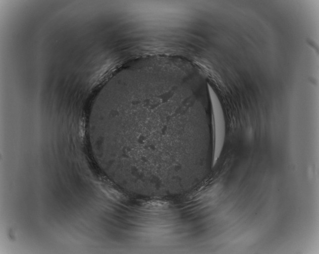 X0000098150691200804241740
