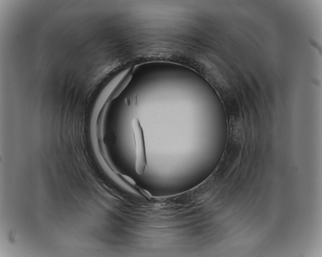 X0000098150692200804241740