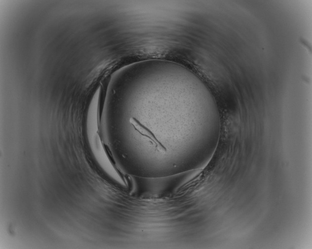 X0000098150693200804241740