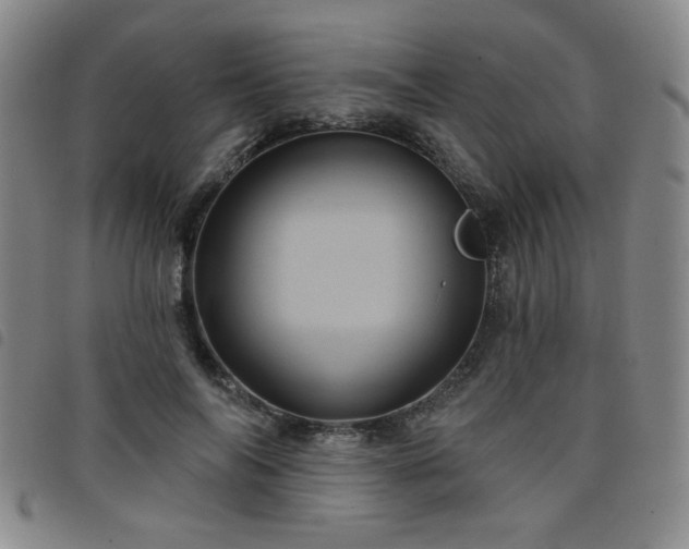 X0000098150694200804241740