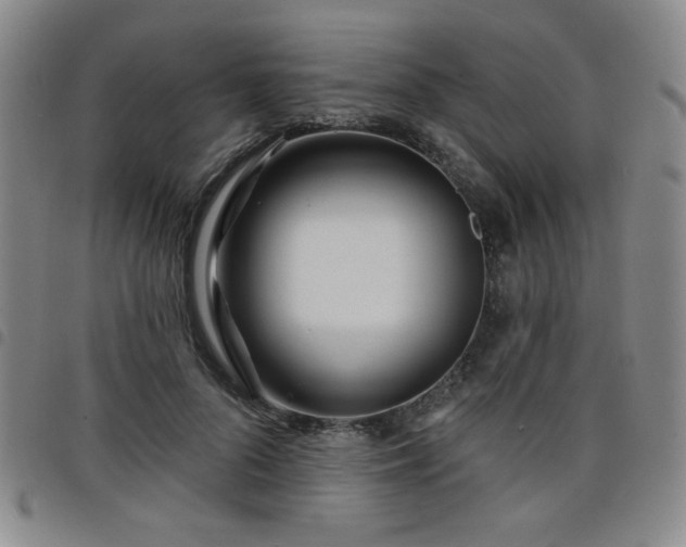 X0000098150696200804241740