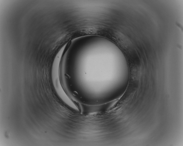 X0000098150697200804241740