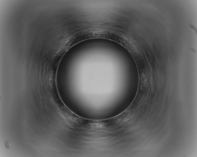 X0000098150698200804241740