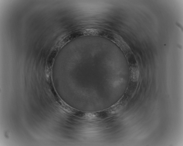 X0000098150701200804241739