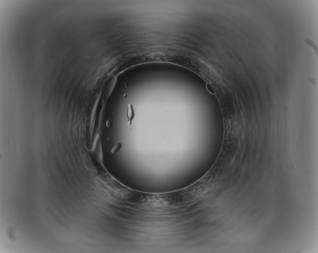 X0000098150702200804241739