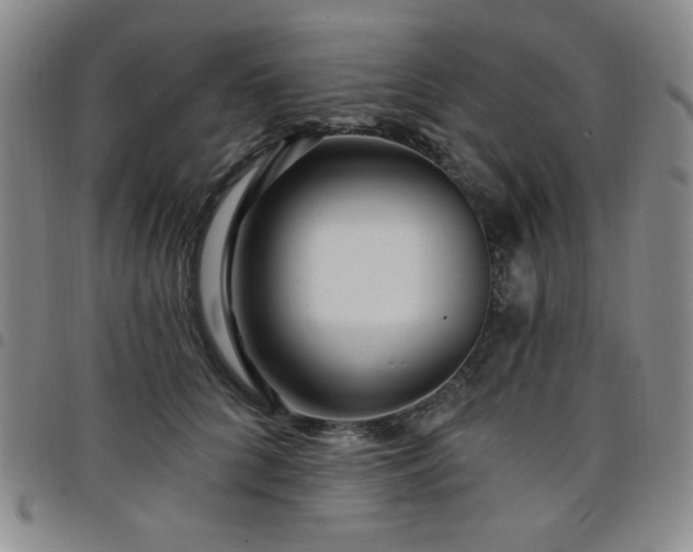 X0000098150704200804241739