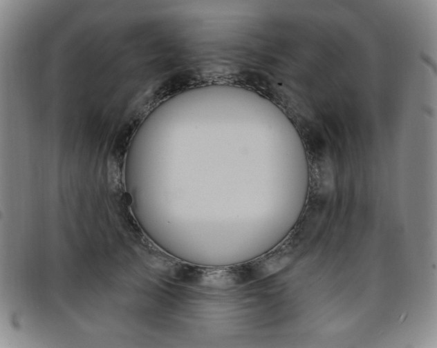 X0000098150705200804241739