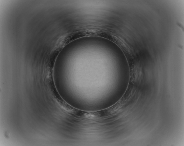 X0000098150706200804241739