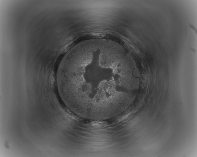 X0000098150707200804241739
