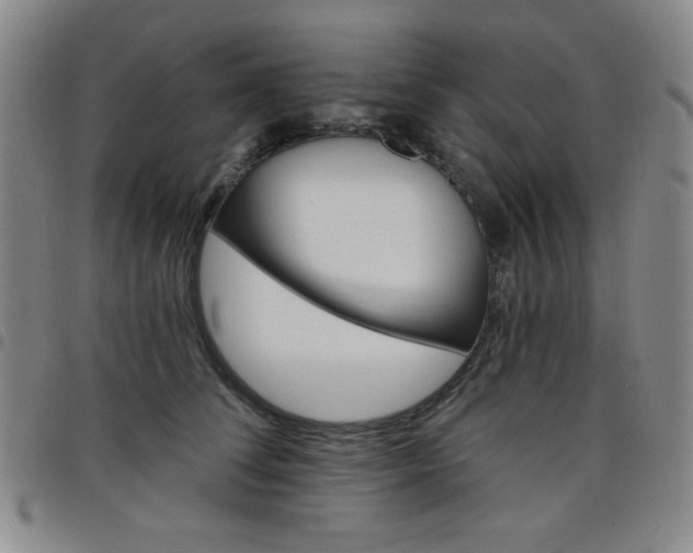 X0000098150708200804241739